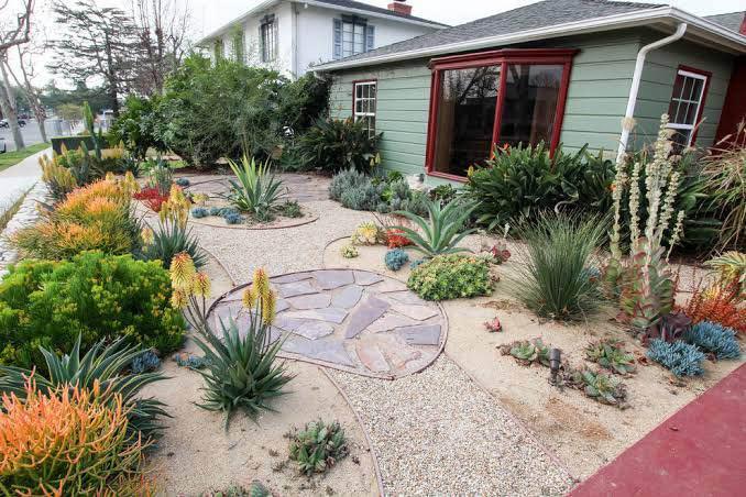 A front yard garden in Gilbert AZ with a variety of drought-tolerant succulents and cacti, decorative gravel paths, a stone circle feature, and low-maintenance turf options beside a green house with large windows.